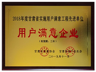 2018年度甘肅省實(shí)施用戶滿意工程先..